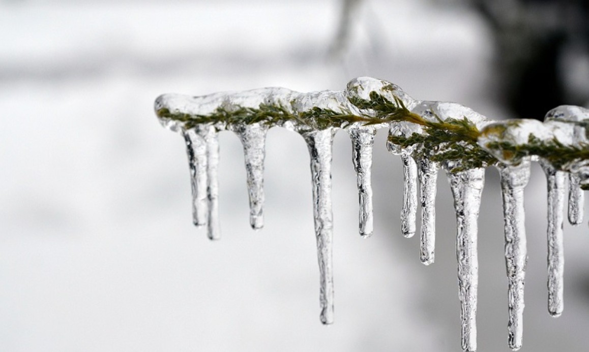 Ενισχύεται με έκτακτο προσωπικό & Υπερωρίες ο ΕΛΓΑ σε Βέροια – Κοζάνη – Λάρισα για τον παγετό 19/3/2025